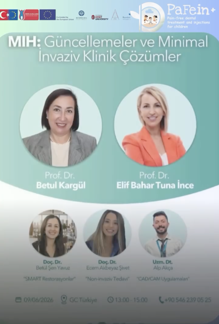 PaFein+ MIH  Meeting in Istanbul